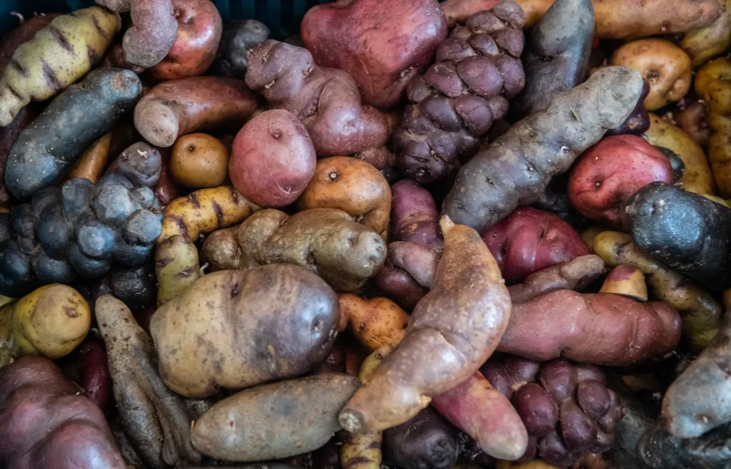 Sweet Potatoes