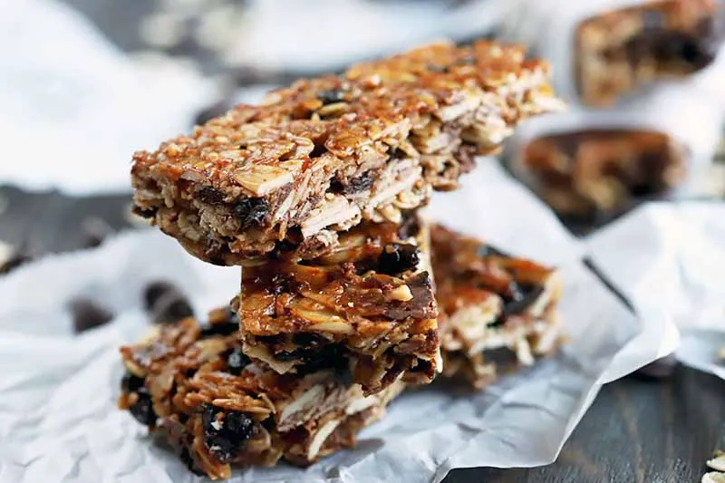 The Best Homemade Granola Bars f