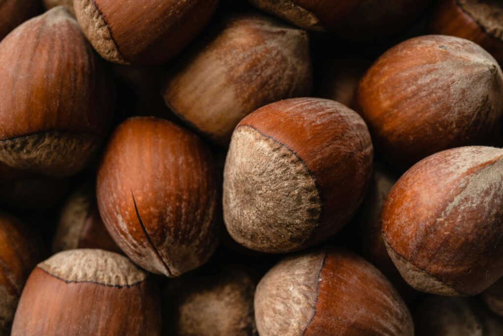 Detailed close-up of brown hazelnuts showcasing textures, ideal for food photography and culinary themes.